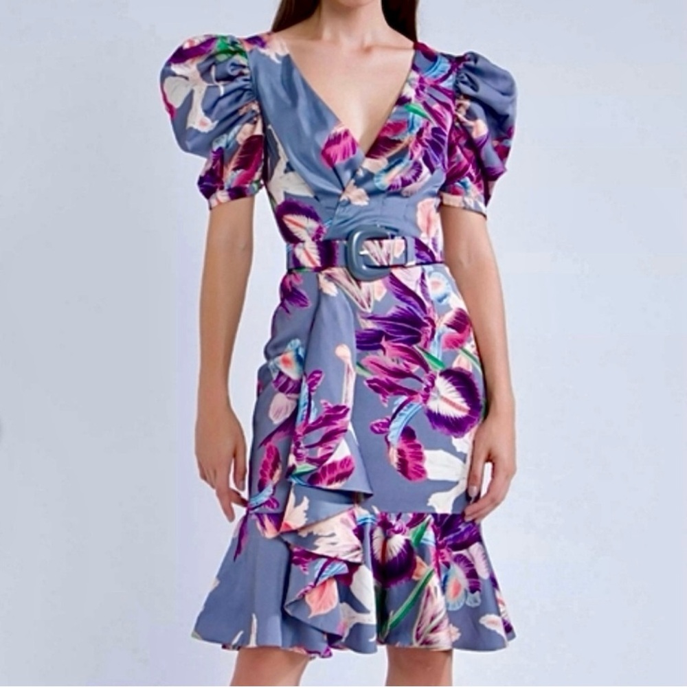 PatBO Iris Floral Print V-Neck Belted Ruffle Belted Dress Size 4